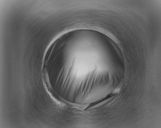 X0000052941536200507300005