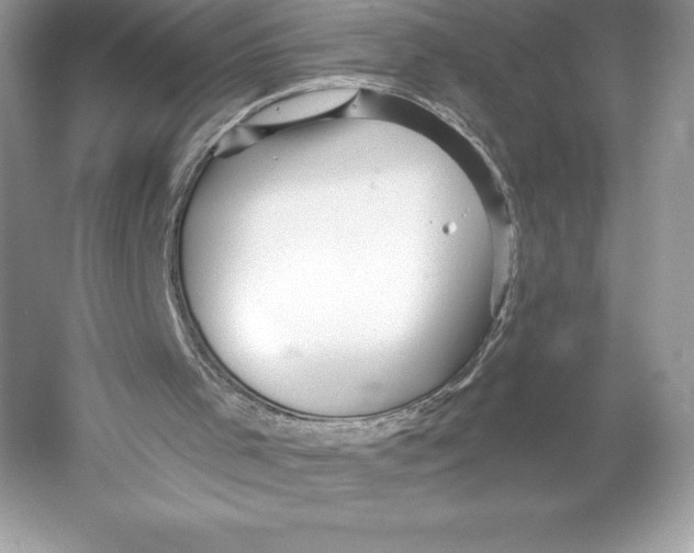 X0000052940001200508050908