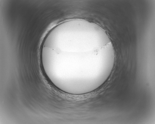 X0000052940006200508050908