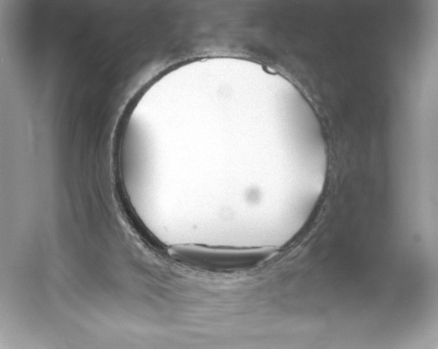 X0000052940008200508050908