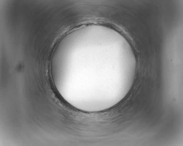 X0000052940010200508050908