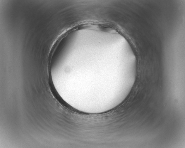 X0000052940011200508050908