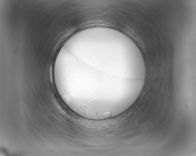 X0000052940014200508050908