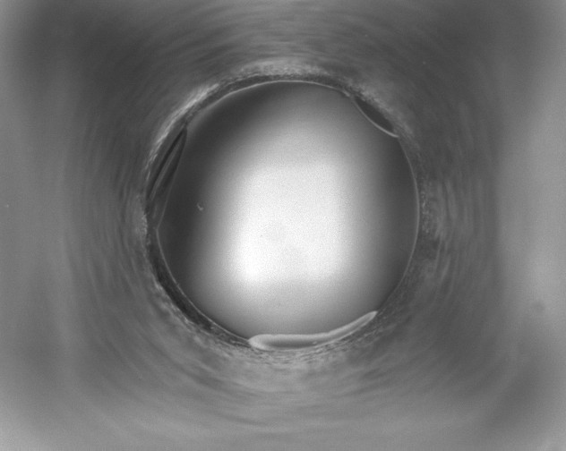 X0000052940015200508050908