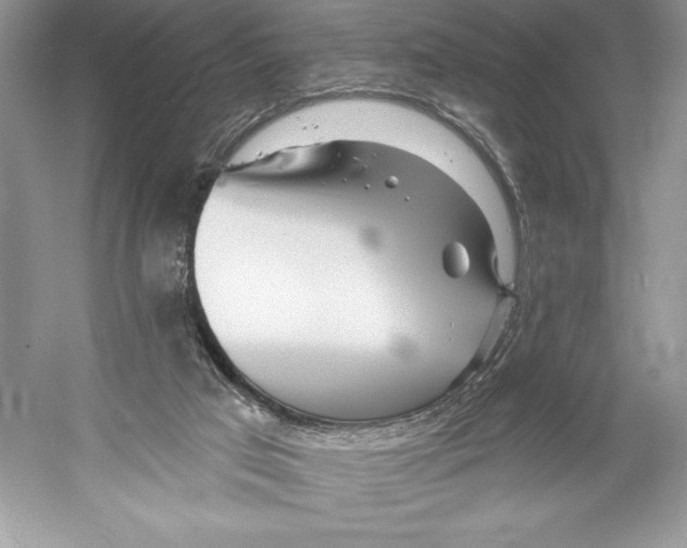 X0000052940017200508050908