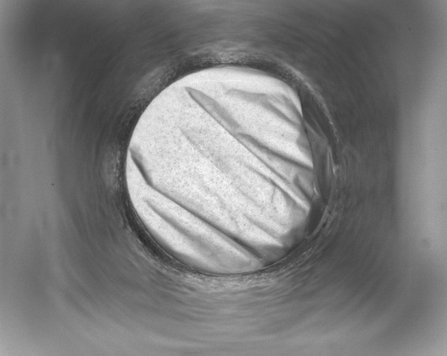 X0000052940018200508050907