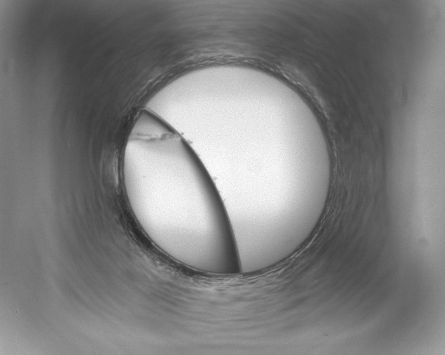 X0000052940021200508050907