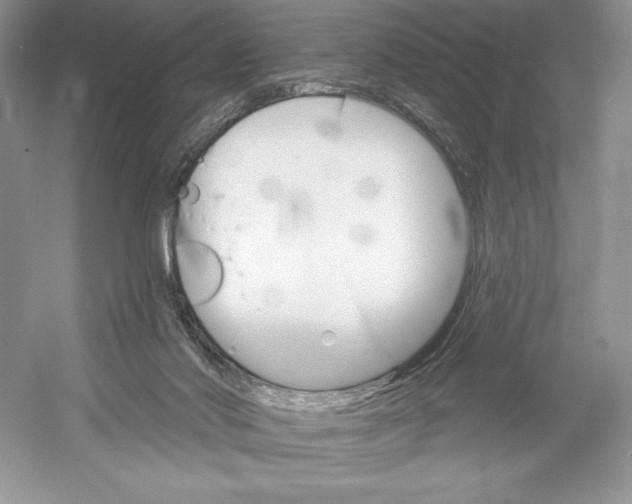 X0000052940022200508050907