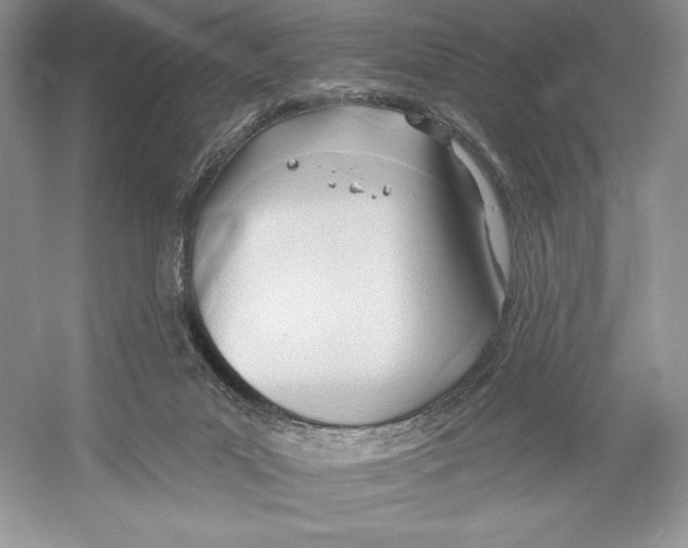 X0000052940023200508050907