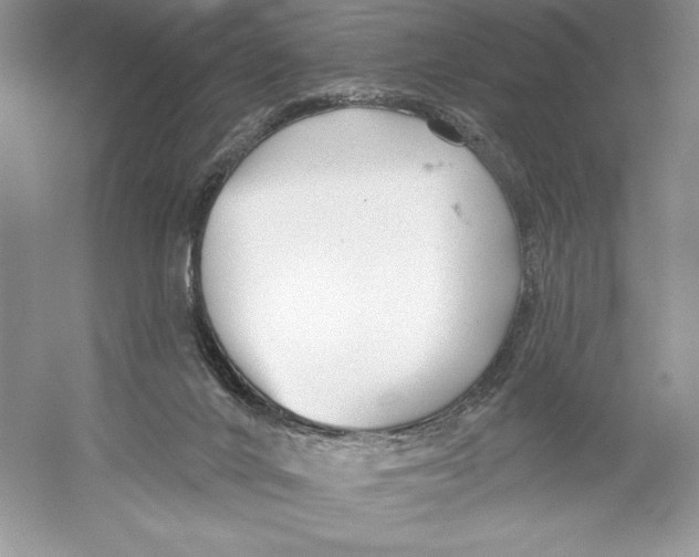 X0000052940024200508050907