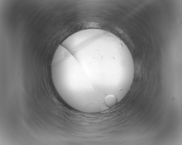 X0000052940026200508050907