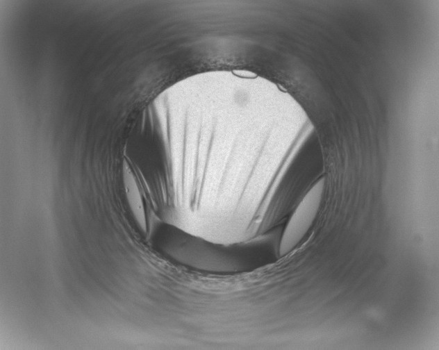 X0000052940029200508050907