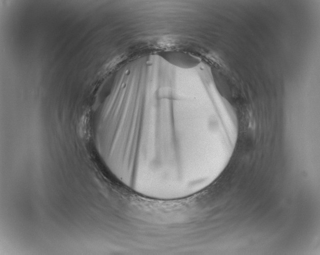 X0000052940031200508050907