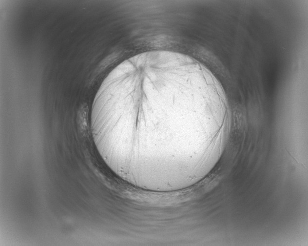 X0000052940032200508050907