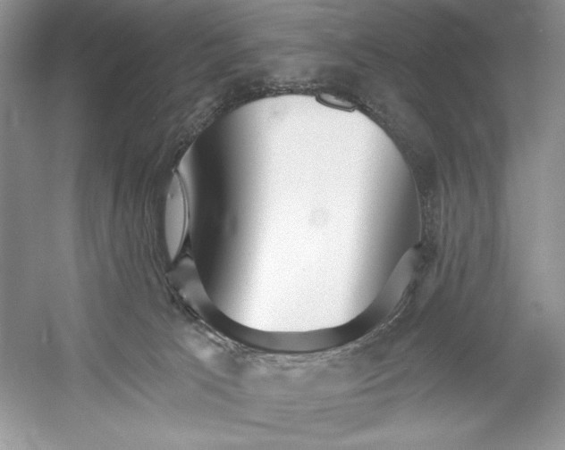 X0000052940033200508050907