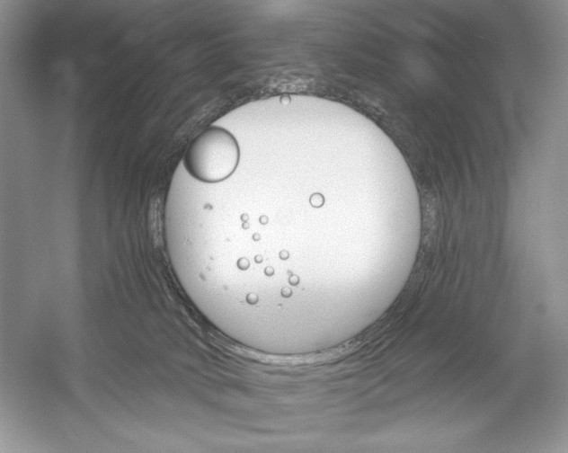 X0000052940034200508050907