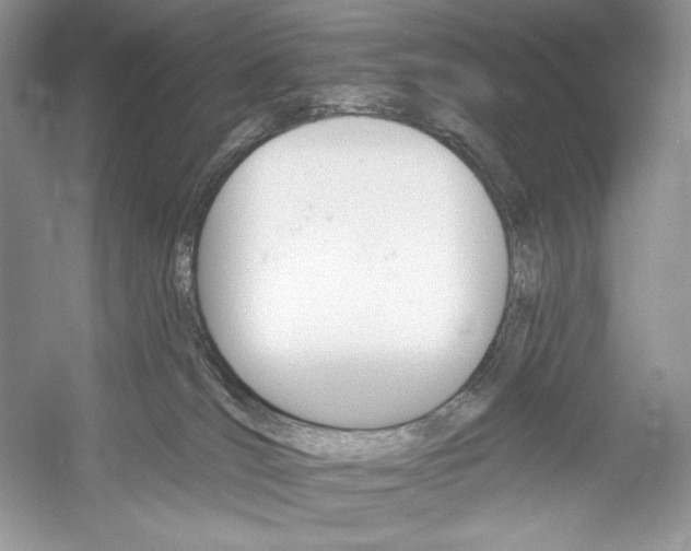 X0000052940036200508050907