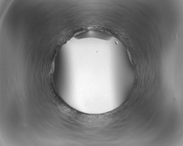 X0000052940037200508050907