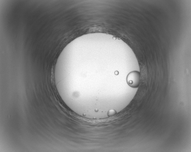 X0000052940038200508050907