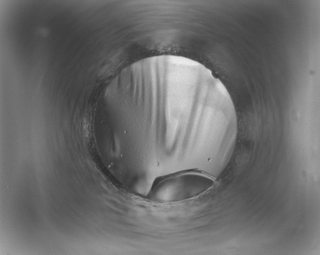 X0000052940039200508050907