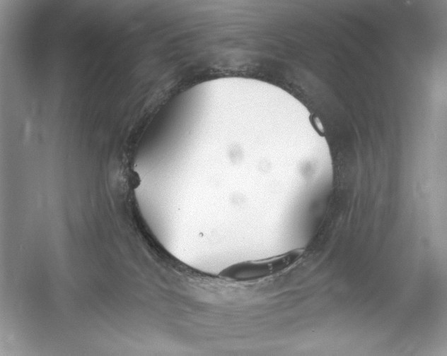 X0000052940040200508050907