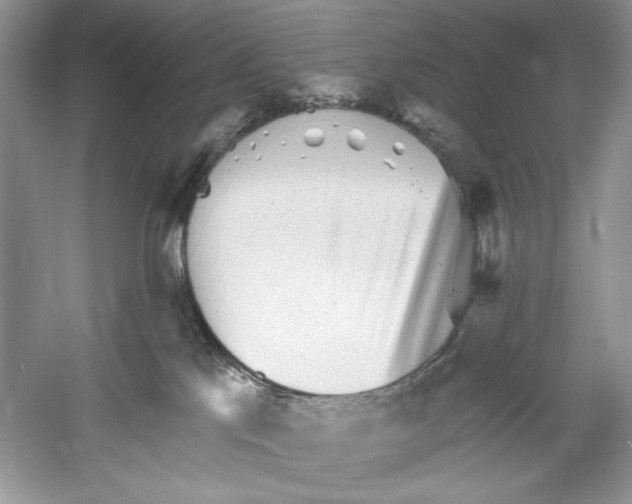 X0000052940041200508050907