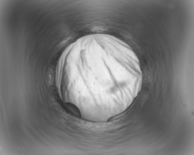 X0000052940043200508050907