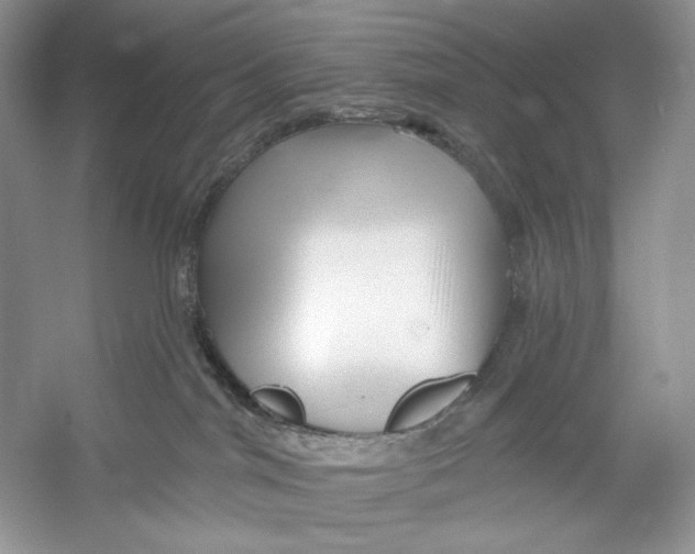 X0000052940044200508050907