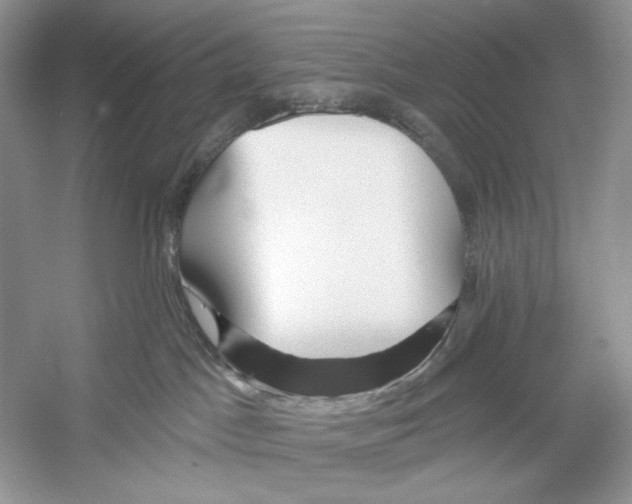 X0000052940045200508050907