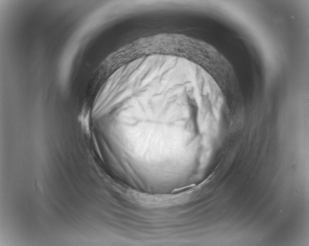 X0000052940047200508050907