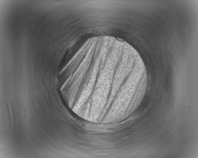 X0000052940048200508050907