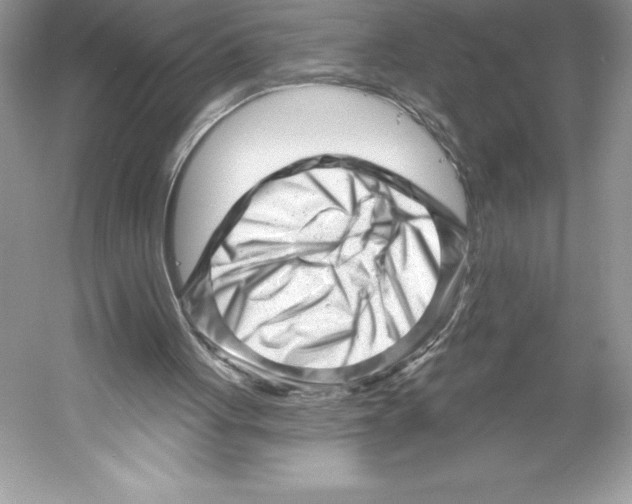 X0000052940051200508050906