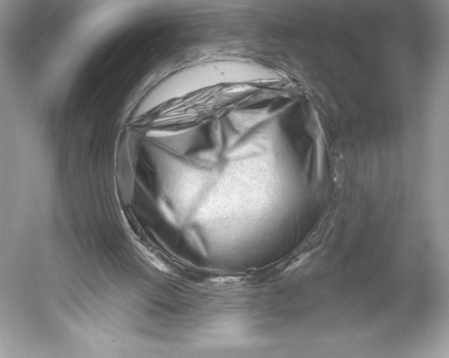 X0000052940052200508050906