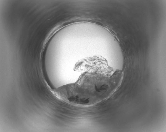 X0000052940053200508050906