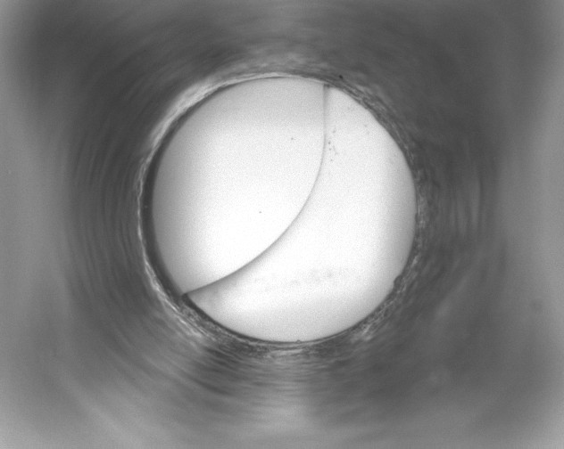 X0000052940054200508050906