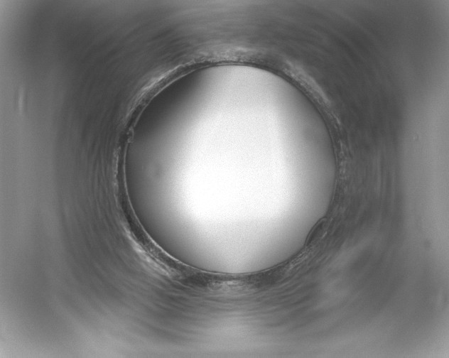 X0000052940058200508050906