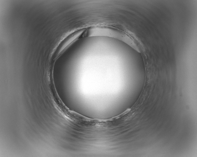 X0000052940060200508050906