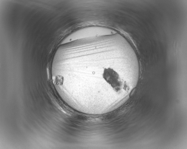 X0000052940061200508050906