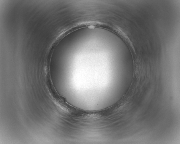 X0000052940063200508050906