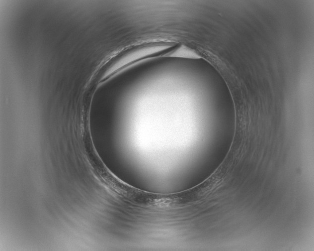 X0000052940064200508050906