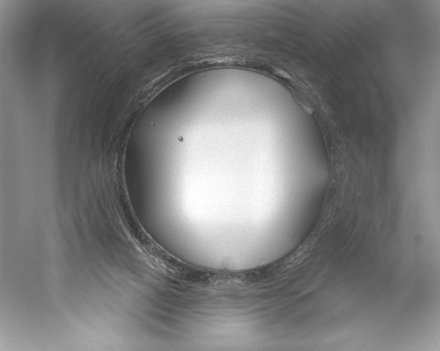 X0000052940066200508050906