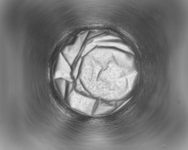 X0000052940067200508050906