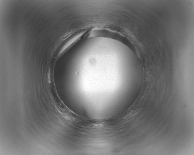 X0000052940068200508050906