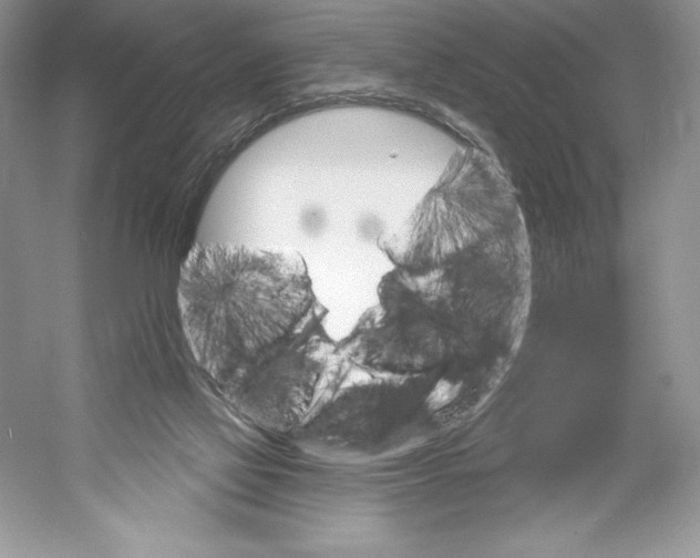 X0000052940069200508050906