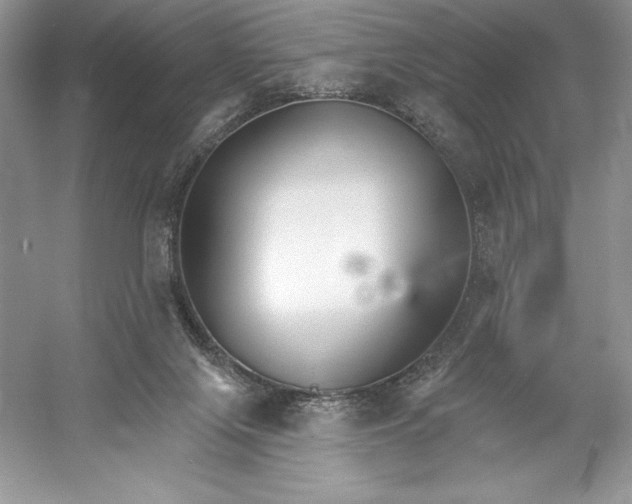 X0000052940071200508050907