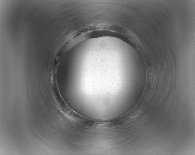 X0000052940072200508050907