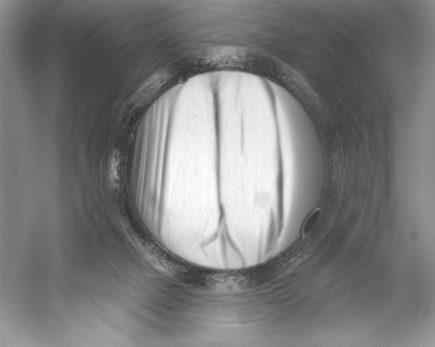 X0000052940073200508050907