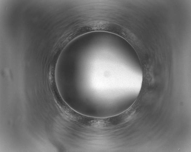 X0000052940074200508050907