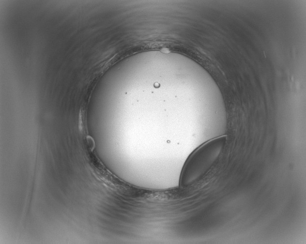 X0000052940075200508050907