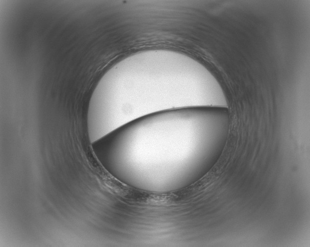 X0000052940076200508050907